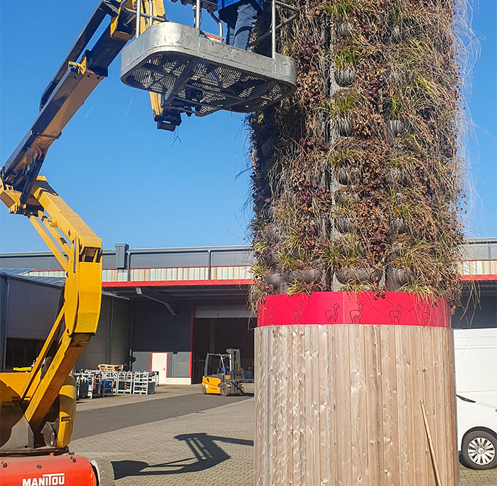 Mitarbeiter beim Rückschnitt der Pflanzen am Alpaka GreenTower