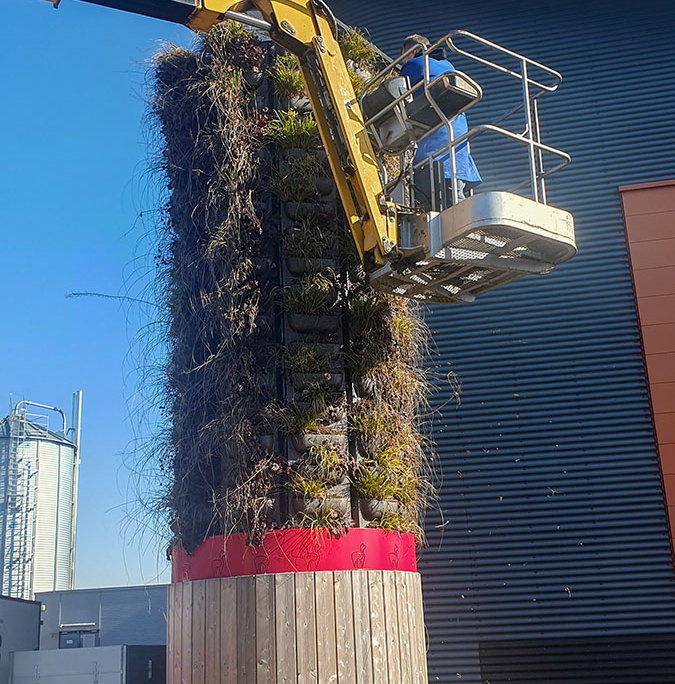 Mitarbeiter beim Rückschnitt der Pflanzen am Alpaka GreenTower mit einem Hubsteiger
