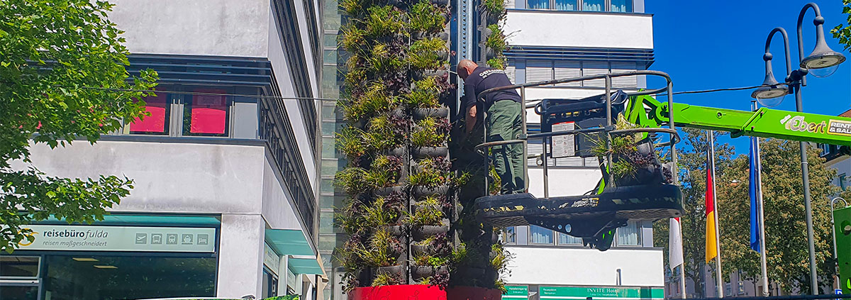 Bestückung des ALPAKA GreenTower mit Pflanzen durch die Gefässerie