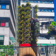 Bestückung des ALPAKA GreenTower mit Pflanzen durch die Gefässerie