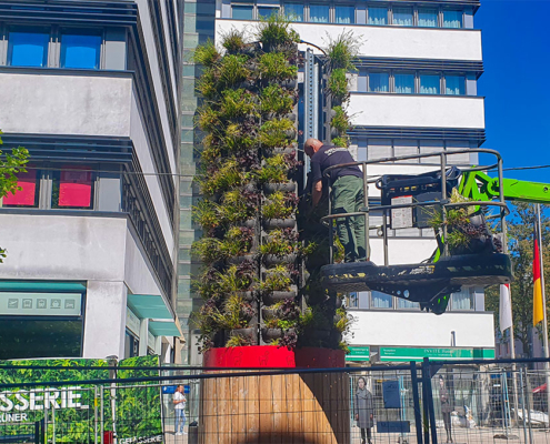 Bestückung des ALPAKA GreenTower mit Pflanzen durch die Gefässerie